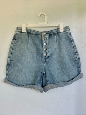 NWT We the Free Osaka Button-Fly Denim Shorts